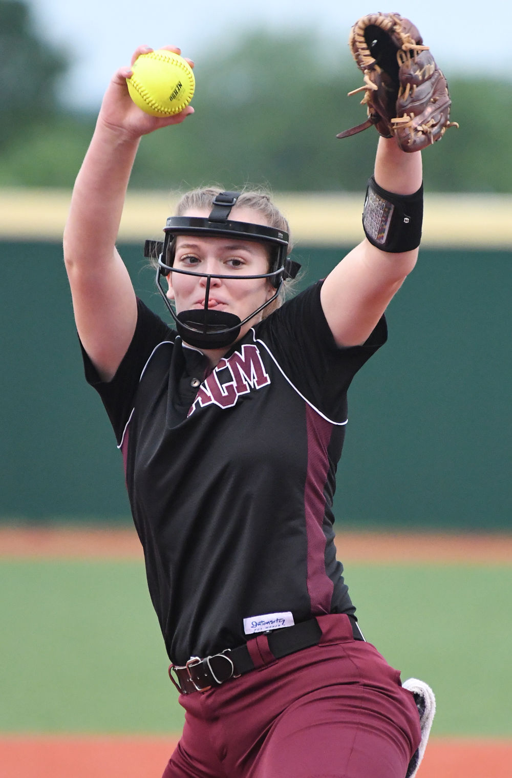 AMC vs Georgetown Softball 1.jpg